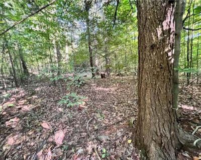 Land For Sale in LOCKWOOD, NY