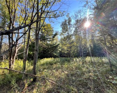 Lots and Land For Sale in Elmira, NY