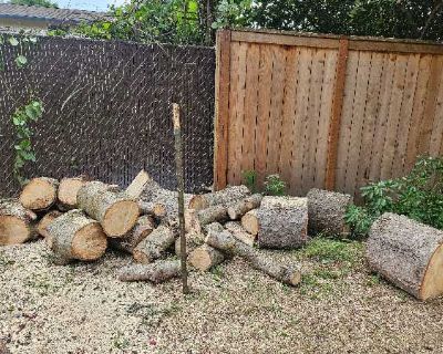 Firewood wood rounds
