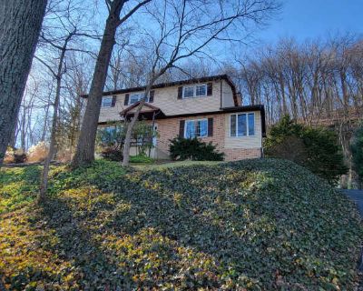 4 Bedroom 2.5BA 2250 ft Pet-Friendly Apartment For Rent in Shillington, PA