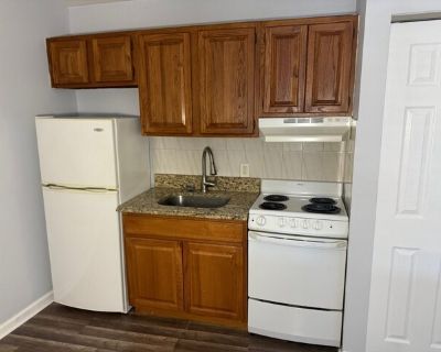 Nd Ave Apt,new Hyde Park, Flat For Rent