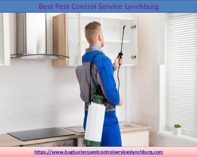 Pest Control Service |  Pest Control Services Lynchburg