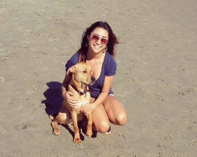 Single female w/ dog looking to rent a room starting in January!!