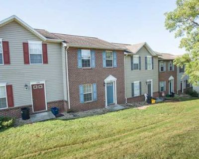 3 Bedroom 4BA 0 ft Pet-Friendly Apartment For Rent in Harrisonburg, VA