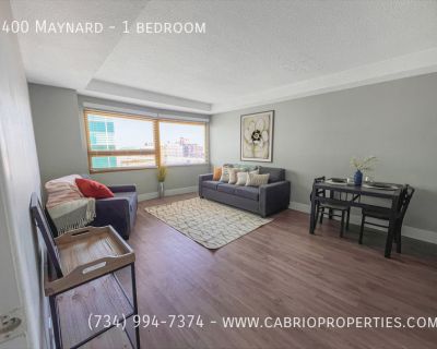 1 Bedroom 1BA 450 ft Furnished Apartment For Rent in Ann Arbor, MI
