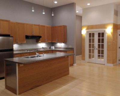 1650 sq feet 2BR-2BA NY STYLE LOFT - walk-in closets in both separate bedrooms - 2nd Floor Apartment-bamboo wood floors-soaring ceilings-office space with french doors-2nd bedroom has SEPARATE hallway entrance option - washer-dryer in unit - individual storage room for apartment- bright massive windows-UNLIKE anything else available.  Incredibly unique & professional space in historic downtown ...