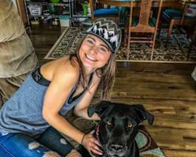 Has a dog * Interested in teaming-up. Budget: $900 per month. Ready to move: December 1. Seeking a 12 months stay. Looking for myself. Looking for a room to rent or someone that would like to rent a place with me. I m very quiet, work a lot, and keep to my room. I have two dogs that are very well trained and behaved.