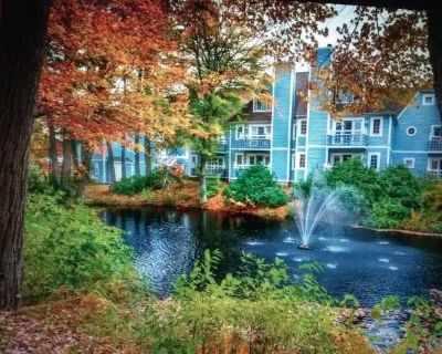 1 Bedroom 1BA 576 ft Furnished Apartment For Rent in Norwich, CT