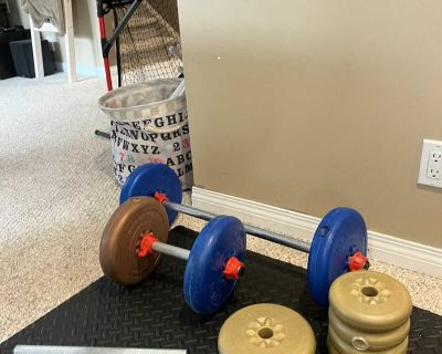 Gym weights and bars