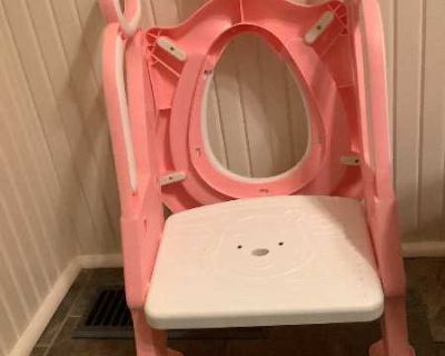 Toddler Potty Training Ladder Seat