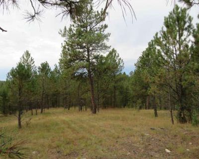 Land For Sale in CUSTER, SD