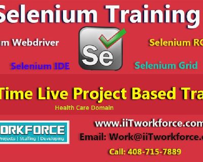 Selenium Real-time Project Workshop on Health care Domain by IIT Workforce.