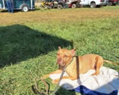 Female Seeking Room in Vancouver, Clark County, WA