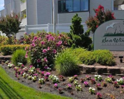 5 Seabreeze Court. image_url. Patio / balcony Pet friendly Parking Pool Tennis court Fireplace Unit Amenities fireplace furnished patio / balcony Property Amenities pet friendly parking pool tennis court. 3 Bedroom. 3.5 Bathroom. 2086 ft . Furnished