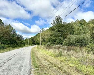 Unimproved Land For Sale in THURMAN, OH