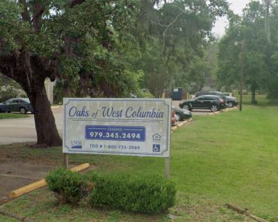 1 Bedroom 1BA Home For Rent in West Columbia, TX