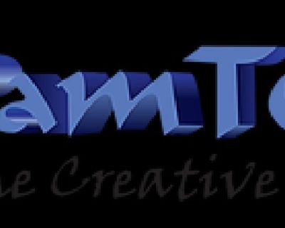 IT Consulting, IT Staffing, Digital Marketing, Custom Application Development, Web Development