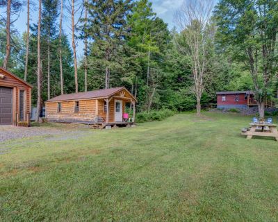2 Bedroom 1BA 336 ft Single Family House For Sale in Wells, NY
