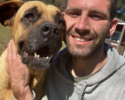 All dogs adopted through Troy Animal Rescue Project will be up to date on vaccinations, spayed/neutered, and heartworm negative before adoption (age appropriate). All dogs are given monthly flea/tick preventative, monthly heartworm preventative (age appropriate), and are dewormed regularly. Dogs adopted through Troy Animal Rescue Project are microchipped. Adoption fee is $100. Home visit and ve...