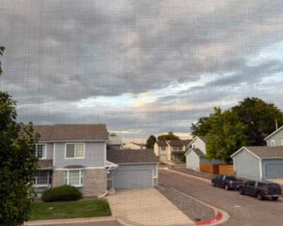 3 Bedroom 2.5BA 1581 ft Pet-Friendly Apartment For Rent in Westminster, CO