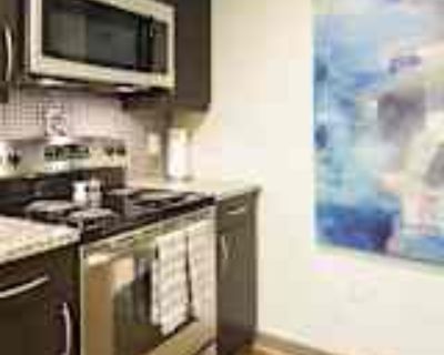 1 Bedroom 1BA 769 ft² Pet-Friendly Apartment For Rent in Atlanta, GA 880 Glenwood Ave SE unit 1311