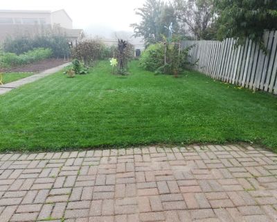 Pretty Home in Quiet Neighbourhood (Has a House) on iROOMit. Room in the...