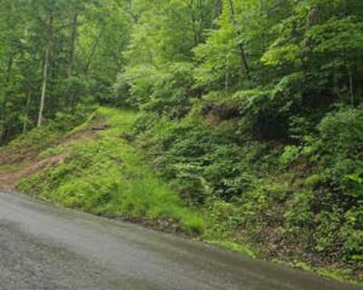 Land For Sale in GRUNDY, VA