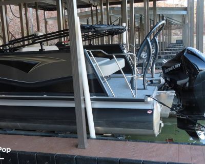 Premier Pontoons Solaris RL 230