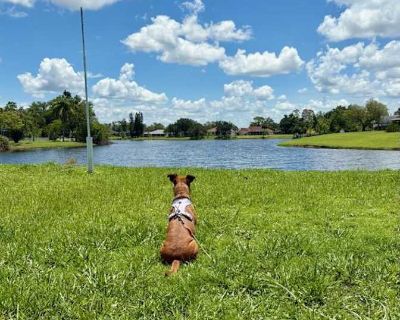 Available on: now. Furnished. Pet friendly. Parking available * Internet included * Accessible property * Cat friendly * Dog friendly * 40+ years welcome Bill will require background checks for this room Learn more. On a lake great neighborhood 3 bedroom home with a great view of the lake. Rent $900 per month Bills Included Security deposit $1 Property type House Room furnishing Furnished Avail...