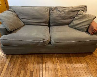 Comfy gray couch in great condition (from insect-free, pet-free home)