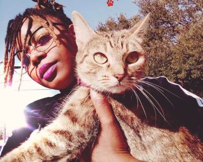 Quinette - Needs a House on iROOMit or a Room