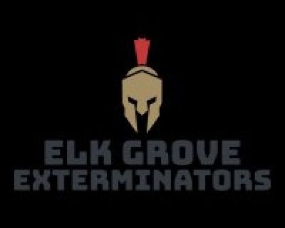 Elk Grove Exterminators is the Pest Control Company in the City of Elk Grove. We offer a wide range of services to cover all your pest needs. We also offer FREE consultations. Bed bugs, Fleas, Wasps, Rodents? No problem, we have got you covered!
http://elkgroveexterminators.com