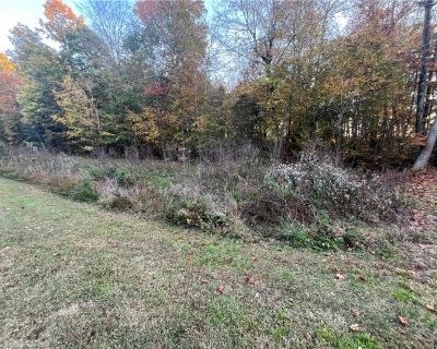 1 Bedroom Vacant Lot For Sale in Randleman, NC