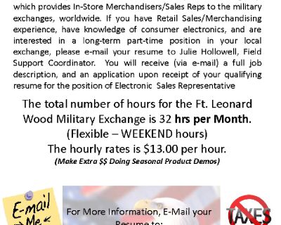 ELECTRONIC SALES REPRESENTATIVE VENDOR