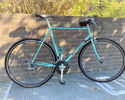 Craigslist bianchi online bike