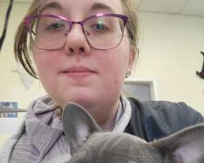 Elizebeth Toale, 26 years, F. Looking in: Webster, Worcester County, MA