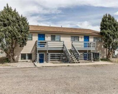 3 Bedroom 1BA 950 ft Pet-Friendly Apartment For Rent in Cheyenne, WY