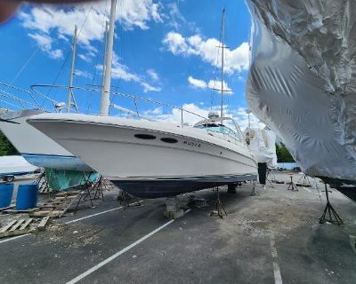 Sea Ray Sundancer