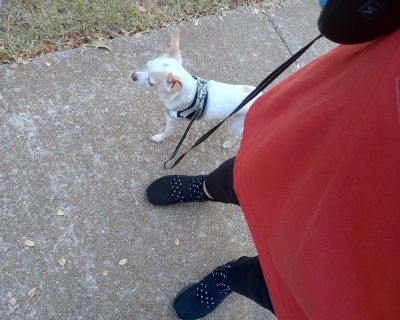 $600 /month. Age: 38 * Any pets?: No * Occupation: Other * Gender: Female. Non-smoking room preferred. Pets are fine. No preference specified. Age preference: 18 - 99. Looking in: Fort Worth. Hey there! Looking for a roommate in Fort Worth for asap move-in. I'm searching for a room; my max budget is $600/month, and I'm happy to live with guys or girls of any age. I have a quiet, housebroken Chi...