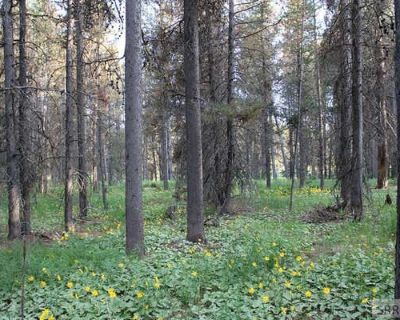 Land For Sale in ISLAND PARK, ID