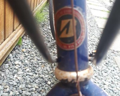 Vintage Bridgestone mountain bike