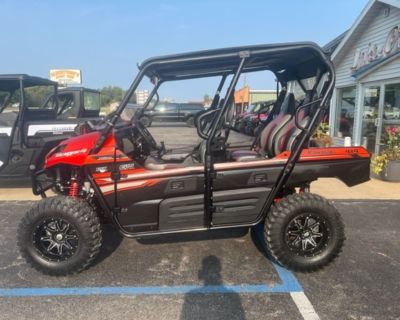 2017 Kawasaki Teryx4 LE