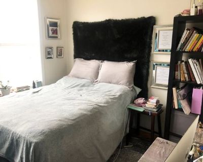 chloe p (Has a Room) on iROOMit. Room in the 1 Bedroom 1BA Room For Rent...