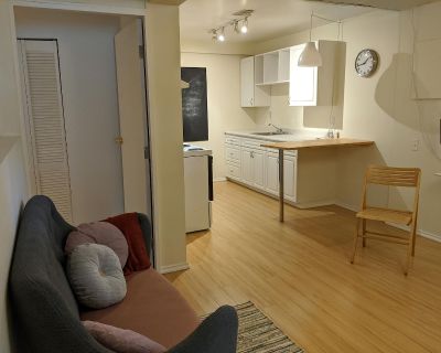 1 Bedroom 1BA 600 ft Furnished Basement For Rent in Burnaby, British Columbia