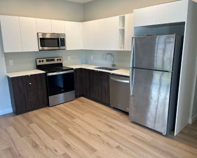 720 Kylemore Avenue. ONE MONTH FREE RENT!!! New construction 4 bedroom, 3 bathroom house in Fort Rouge. This home features laminate flooring, beautiful cabinetry, Fridge, Stove, Range hood Microwave, Dishwasher, Washer and Dryer, High efficiency furnace, HRV, and central a/c. The primary bedroom has a walk-in closet that leads to a private ensuite bathroom. There is a total of three bedrooms an...