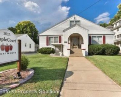 1 Bedroom 1BA 500 ft Pet-Friendly House For Rent in Springfield, MO