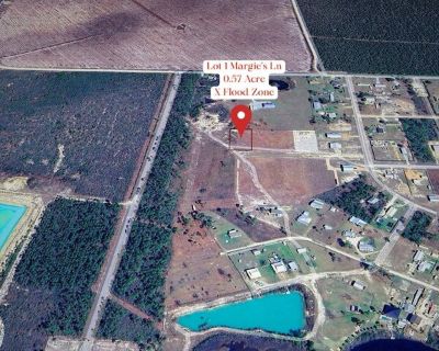 Margies Ln Lot,wewahitchka, Plot For Sale