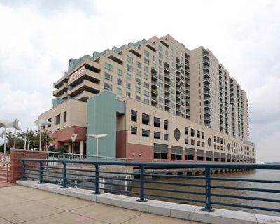 Larry Batchelor (Has a Condo) on iROOMit. Room in the 1 Bedroom 1BA Apartment...