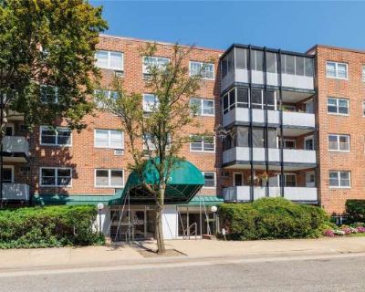 1 Bedroom 1BA 0 ft Apartment For Rent in Mineola, NY