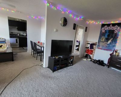 Jim (Has an Apartment) on iROOMit. Room in the 2 Bedroom 1BA Pet-Friendly...